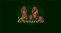 Desktop Screenshot of evasion.pl