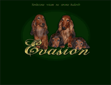 Tablet Screenshot of evasion.pl