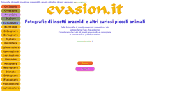 Desktop Screenshot of evasion.it