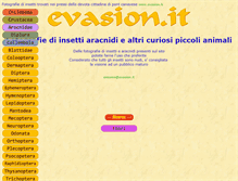 Tablet Screenshot of evasion.it